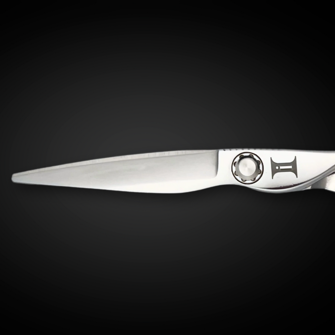6" Hair Cutting Shears - Ascent