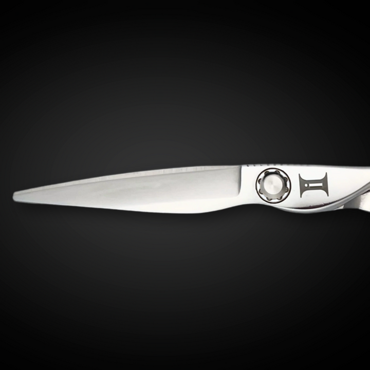 6" Hair Cutting Shears - Ascent