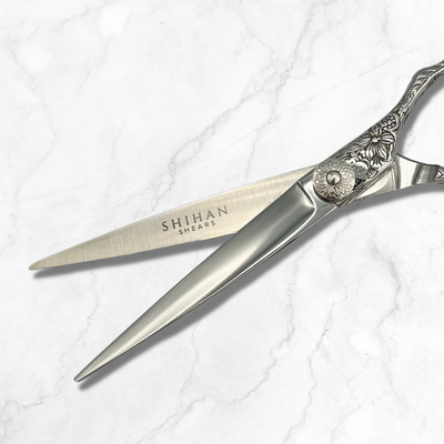 Virtuoso 6 Inch Steel Hair Shears Set